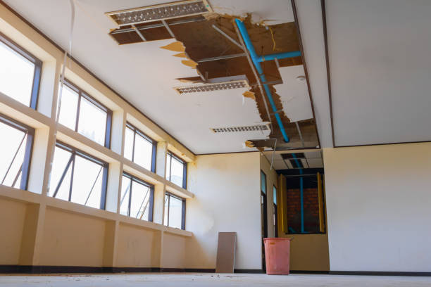 Best Fire Damage Restoration  in Waveland, MS