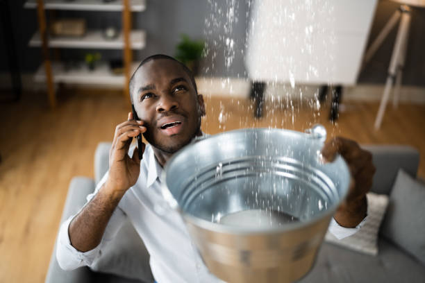 Best Water damage mitigation services  in Waveland, MS