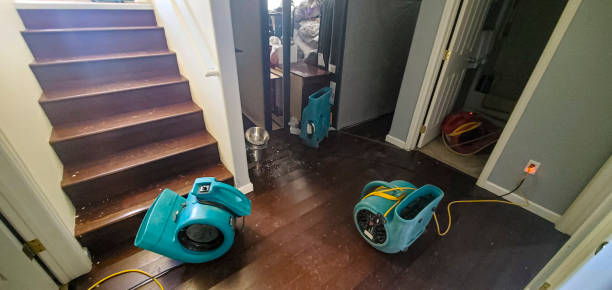 Best 24/7 water damage repair  in Waveland, MS