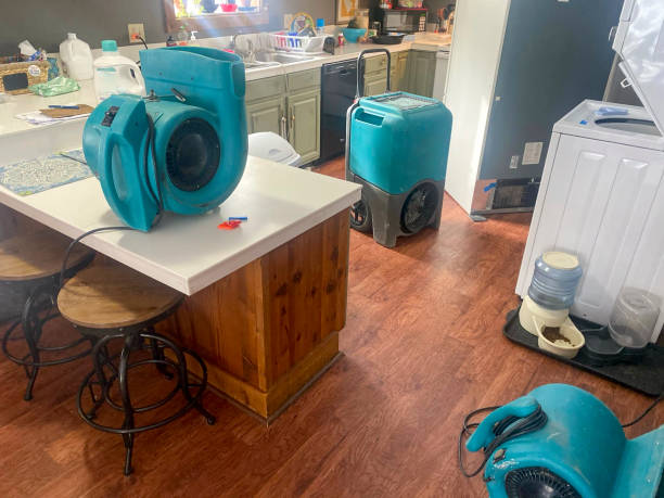 Professional Water damage restoration in MS