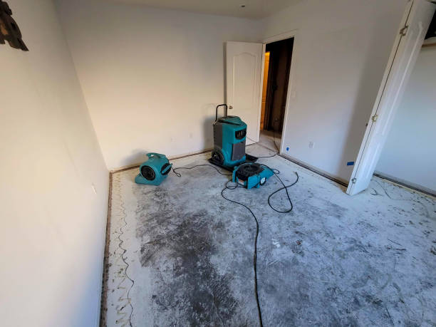 Best Sewage cleanup and water damage restoration  in Waveland, MS