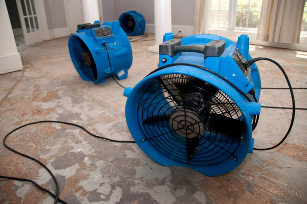 Best Water damage restoration near me  in Waveland, MS