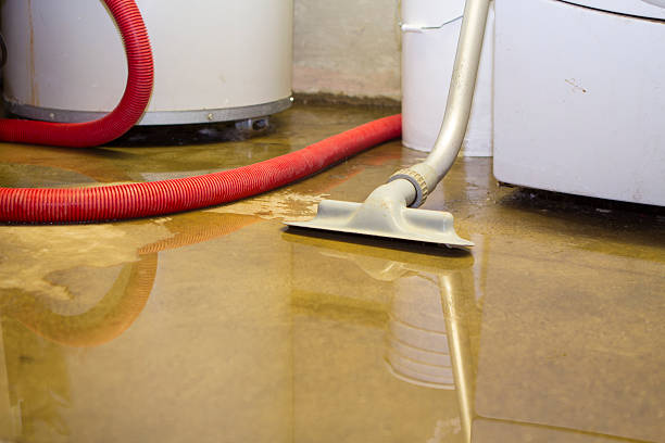 Best Professional water damage repair  in Waveland, MS
