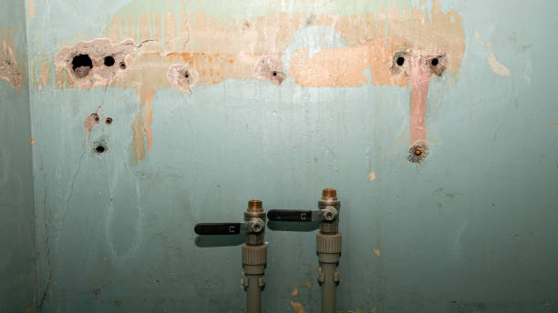 Local water damage restoration in MS