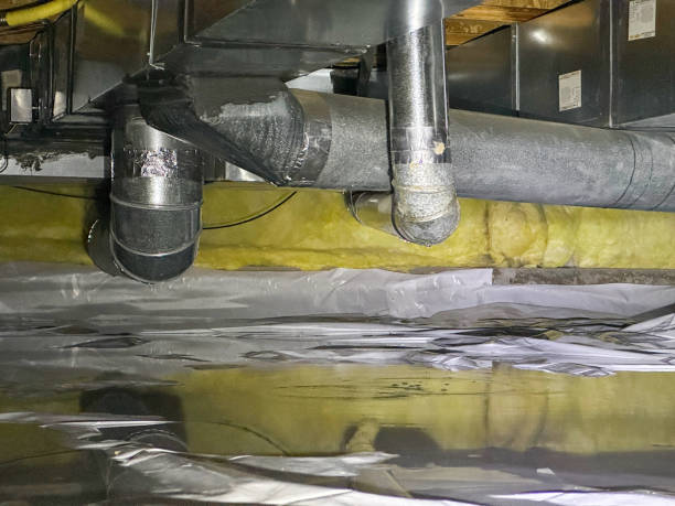 Best Carpet water damage restoration  in Waveland, MS