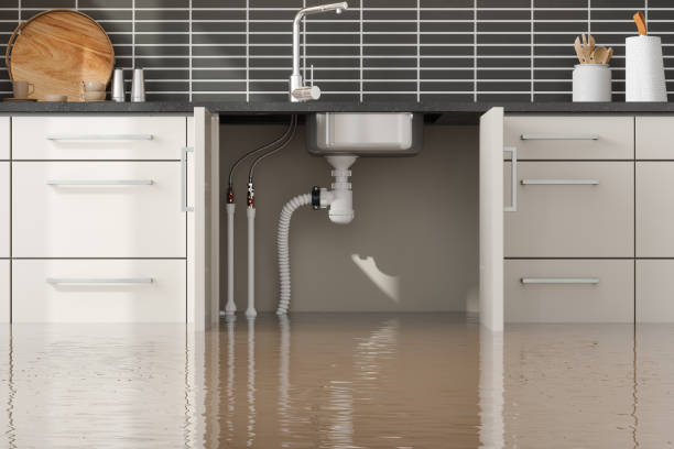 Best Local water damage restoration  in Waveland, MS